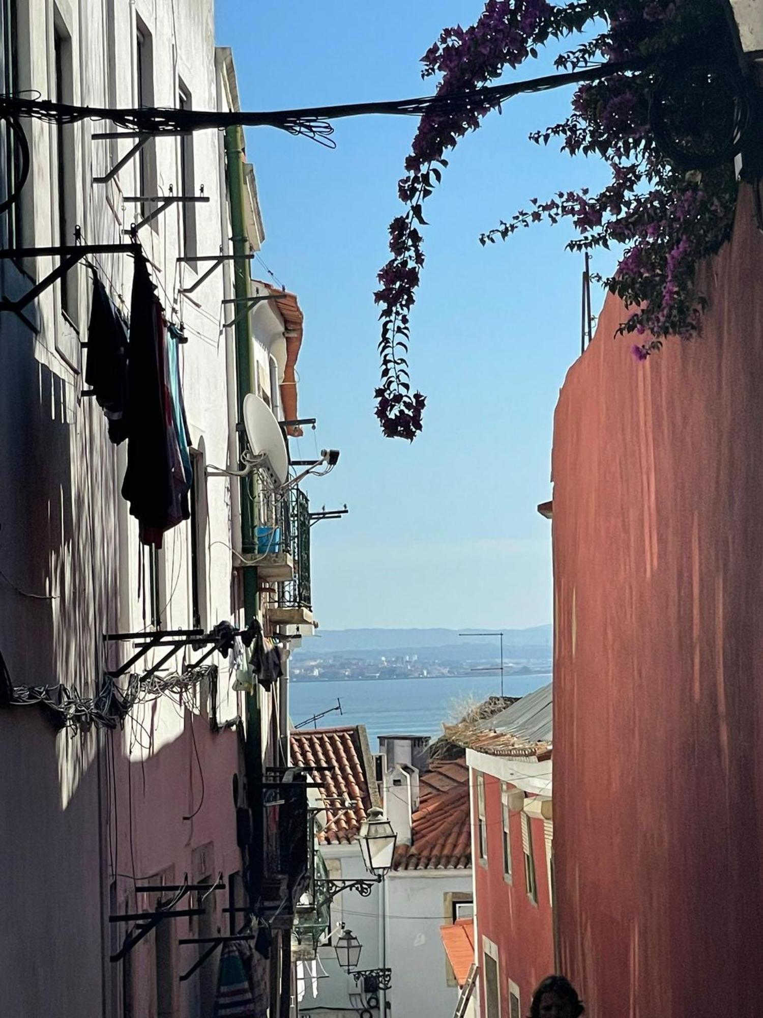 Quiet Street Alfama Daire Lisboa Dış mekan fotoğraf